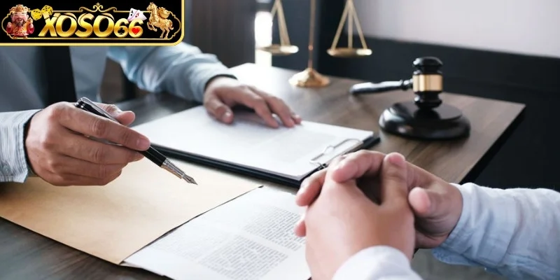 Trách nhiệm pháp lý và cơ chế tự chịu trách nhiệm của người tham gia 