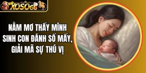 Nằm mơ thấy mình sinh con đánh số mấy